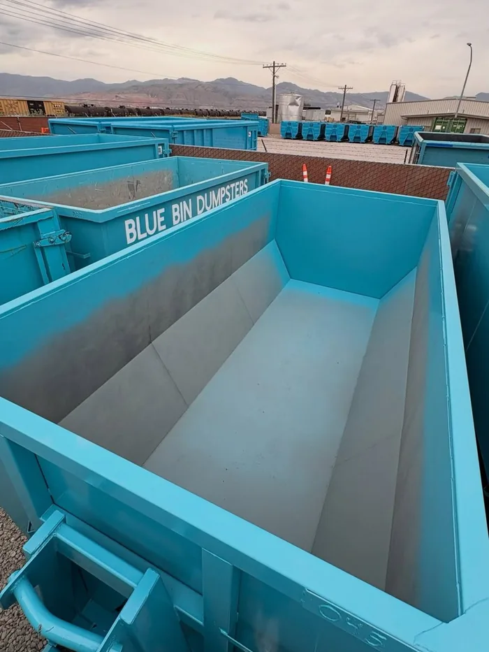 An empty, clean Blue Bin dumpster in the yard